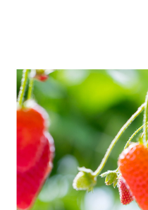 A NatuGro Case Study