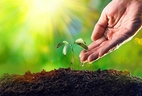 World Soil Day