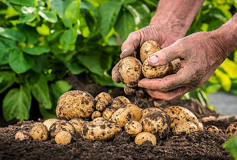 World Food Day 2021