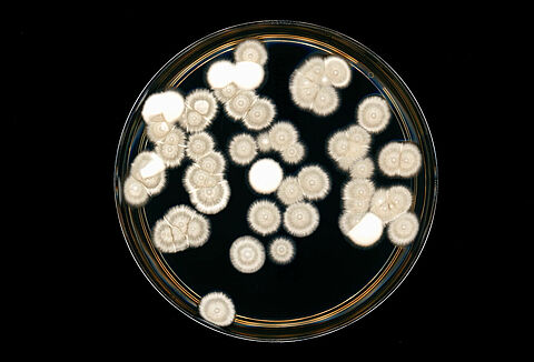 Big impact starts small