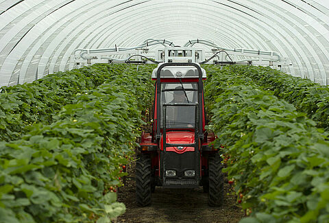 Koppert introduces Natutec Drive