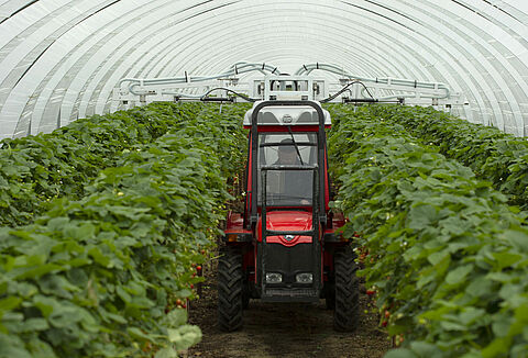 Koppert introduces Natutec Drive