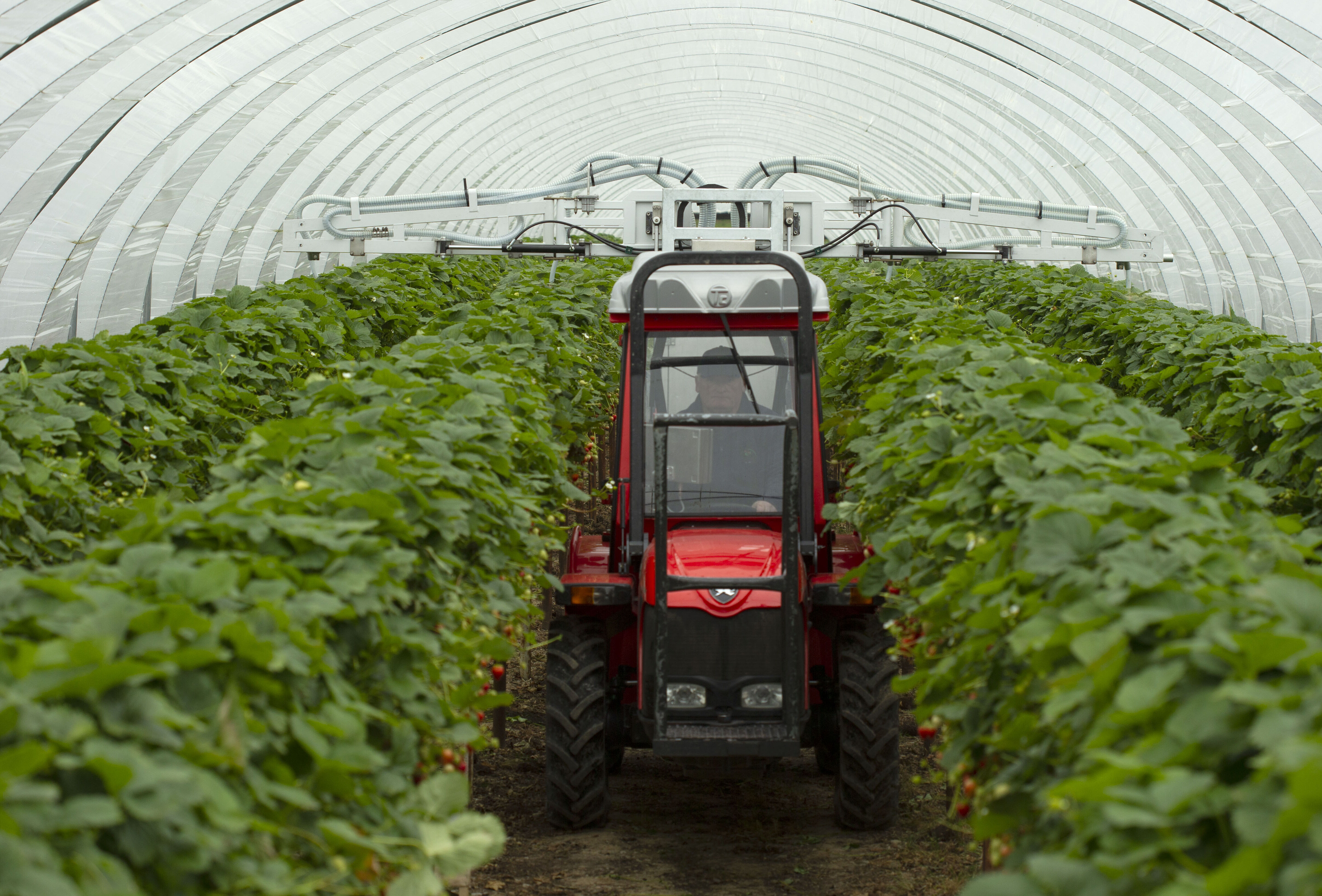 Koppert introduces Natutec Drive