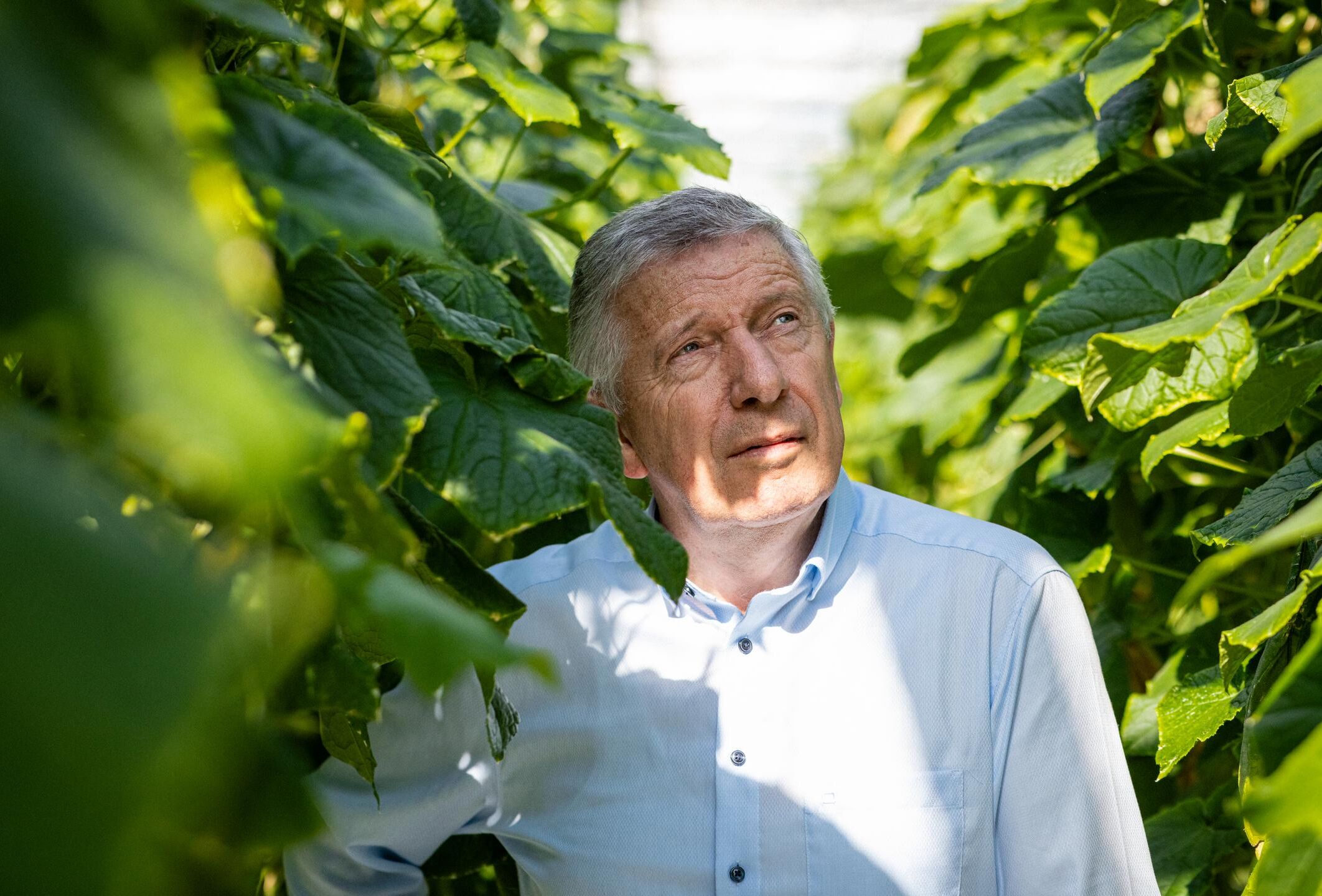 How a little predatory mite laid the foundation for biocontrol today