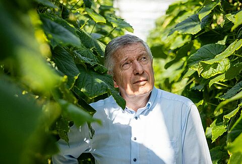 How a little predatory mite laid the foundation for biocontrol today