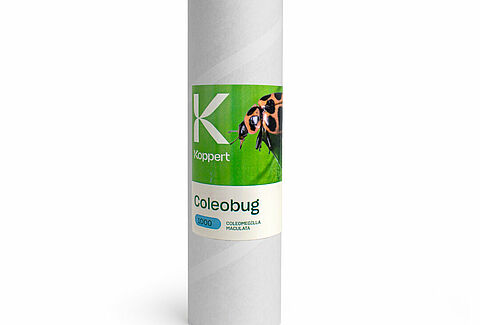 Coleobug