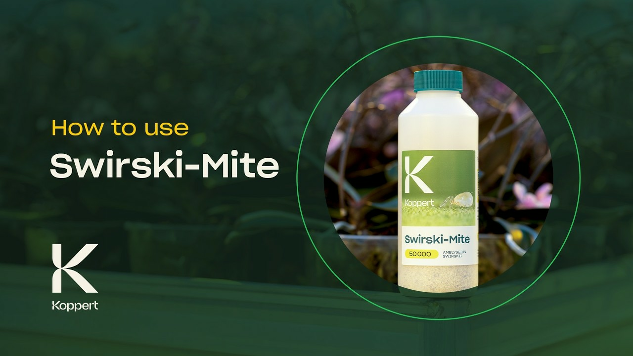 How to use Swirski-Mite from Koppert