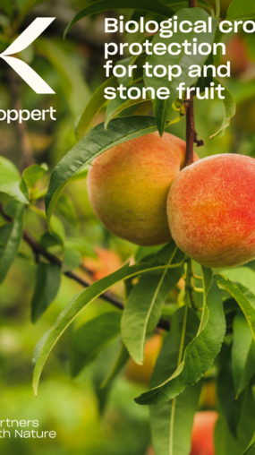 Top and stone fruit crop brochure