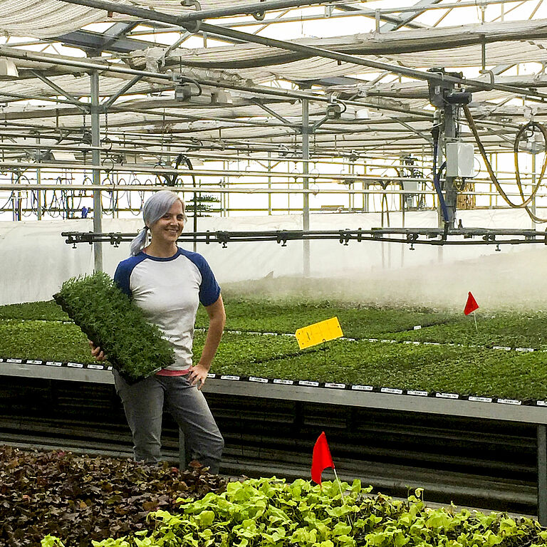 Kristen Fowler ran a propagation greenhouse before joining with Koppert—her propagation roots run deep.