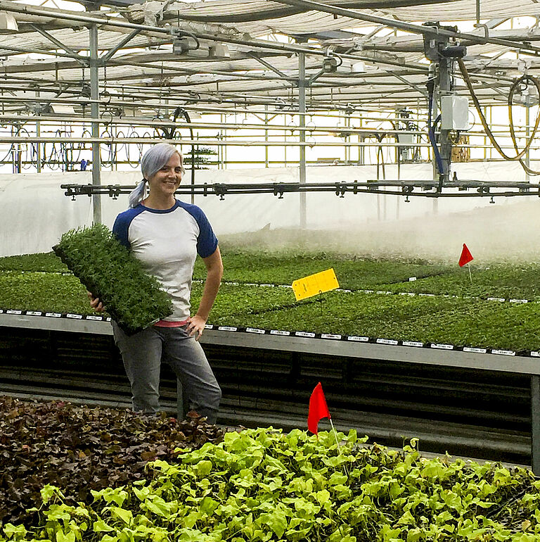 Kristen Fowler ran a propagation greenhouse before joining with Koppert—her propagation roots run deep.