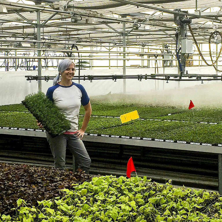 Kristen Fowler ran a propagation greenhouse before joining with Koppert—her propagation roots run deep.