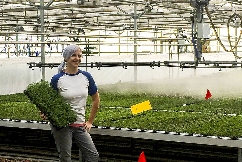 Kristen Fowler ran a propagation greenhouse before joining with Koppert—her propagation roots run deep.