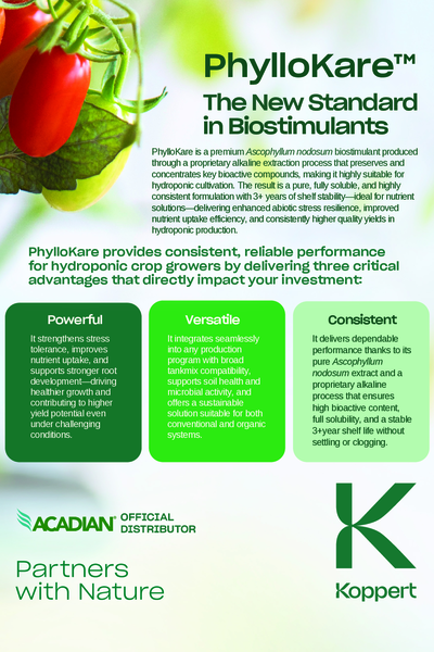 Phyllokare Hydroponics Leaflet