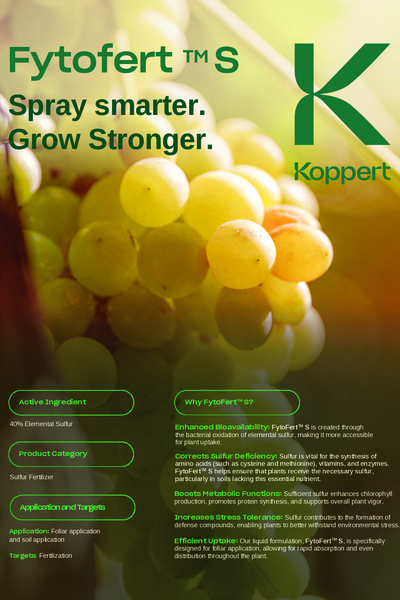 Fytofert S grapes brochure