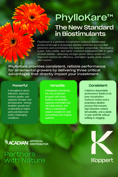 Phyllokare Ornamentals Leaflet